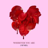 wherever you are_adam&steve,Maty Noyes