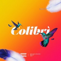 Colibrì_Oliver Green,Boro Boro