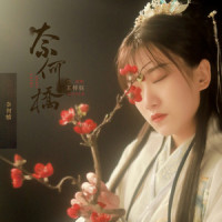 奈何桥_王梓钰