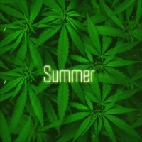 Summer_spill tab