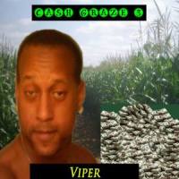 Far Gone On My Own Hustle_Viper