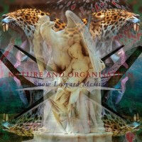 Bloodstreamruns_Nature And Organisation,Current 93