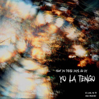 A Shy Dog_Yo La Tengo