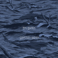 Center of_The Dodos