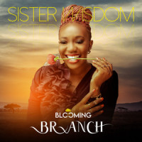 Vibes_Sister Wisdom,Martin PK