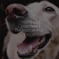 Take a Break_Music for Calming Dogs,Sleepy Dogs,Music For Dogs Peace