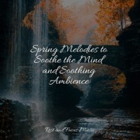 Feeling Sleepy_Life Sounds Nature,Trouble Sleeping Music Universe,Deep Sleep