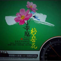 绿旋风_凤凰传奇