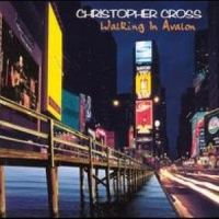 Arthur's Theme_Christopher Cross