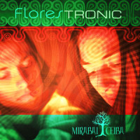 Hon Hon Hon_Mirabai Ceiba,Solar Geometry