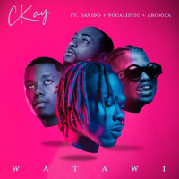 WATAWI (feat. Davido, Focalistic & Abidoza)_CKay,Focalistic,Davido,Abidoza