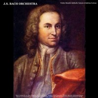Oboe Concerto in D Minor, Op. 9, No. 2: Adagio (Live) (Live)_Johann Sebastian Bach Orchestra