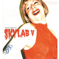 Mastigando um Chiclete_Rogério Skylab