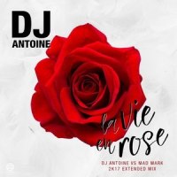La Vie en Rose_DJ Antoine