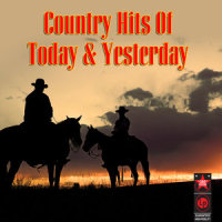 Angel of the Morning (Re-Recorded)_Juice Newton