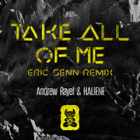 Take All Of Me_Andrew Rayel,HALIENE