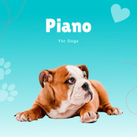 cat and dogs_Pet Music Therapy,Pets Love Music,Piano Peace