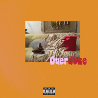Overdose_Wolfskind,Bayuk,Lucas Riemenschneider,Magnus Hesse