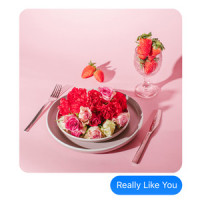 Really Like You_Anja Kotar,Noah Taylor