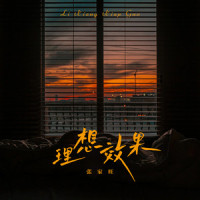 理想效果_张家旺