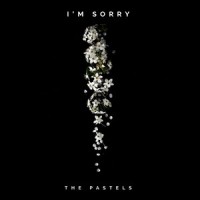 I’m Sorry_The Pastels