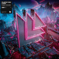 Funky Sound_Plastik Funk,HINA