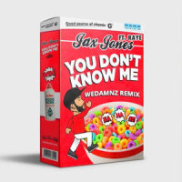 You Don't Know Me_WeDamnz,Jax Jones,RAYE