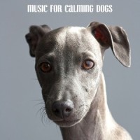 The Yoga of Relationships_Sleepy Dogs,Music for Calming Dogs,Music for Leaving Dogs Home Alone