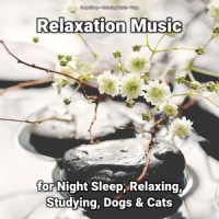 Soothing Countryside_Deep Sleep,Yoga,Relaxing Music
