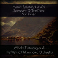 Serenade in G Major, K. 525: III. Allegretto and Trio_Wilhelm Furtwängler,Wiener Philharmoniker