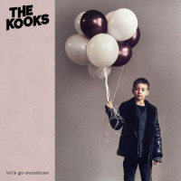 Picture Frame_The Kooks,Luke Pritchard