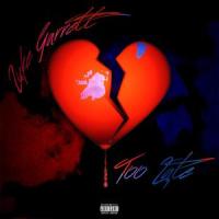 Too Late_Luke Garrett