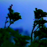 Hallelujah_Underoath,Charlotte Sands