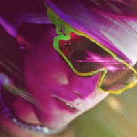 Bad Vibes_Wayne Santana,Side Baby