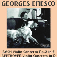 Violin Concerto No. 2 in E Major, BWV 1042: II. Adagio (Live)_George Enescu