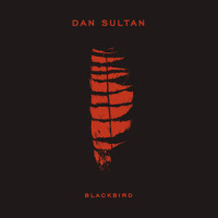 Can't Blame Me_Dan Sultan