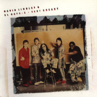 Do Ya' Wanna Dance?_David Lindley