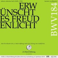 VI. Guter Hirte, Trost der Deinen (Chorale)_Gerlinde Sämann,Margot Oitzinger,Daniel Johannsen,Fabrice Hayoz,Rudolf Lutz,Johann Sebastian Bach,Chor der J.S. Bach-Stiftung