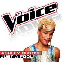 Just a Fool_Ashley DuBose