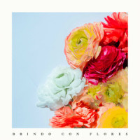 Brindo Con Flores_N.T.S.C,Nikko Taranto,Valentin Oloriz,Franco Zieher,Julián Rojas,Nicolas Carrega Alvarez