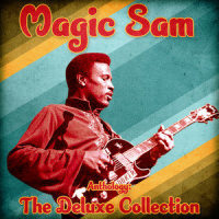 I Just Want a Little Bit_Magic Sam