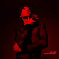 Kto tam jest?(feat. Sound'n'Grace)_Dawid Kwiatkowski,Sound'n'Grace