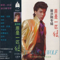 生活的休止符_屠洪刚