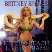 Toxic_Britney Spears