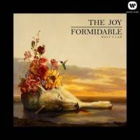 Tendons_The Joy Formidable
