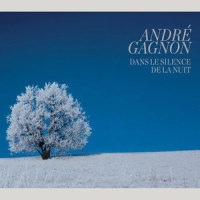Tout le ciel reluit_André Gagnon