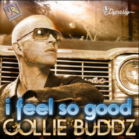 I Feel So Good_Collie Buddz