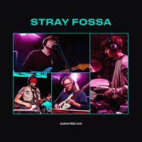 Better Late Than..._Stray Fossa