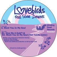 Want You In My Soul_Lovebirds,Stee Downes