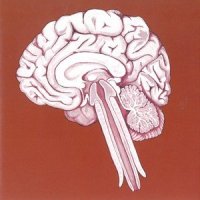 Psych Xlude_Shing02